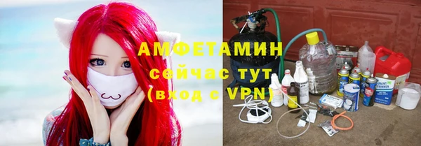 твердый Володарск