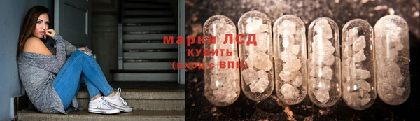 твердый Володарск