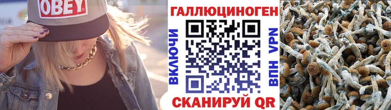 Галлюциногенные грибы Magic Shrooms  Ставрополь 